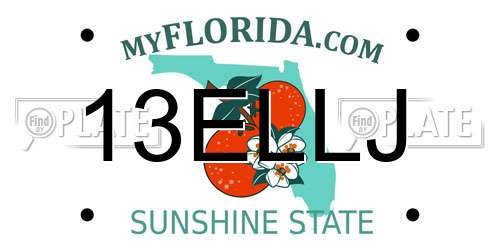 13ELLJ Florida License Plate