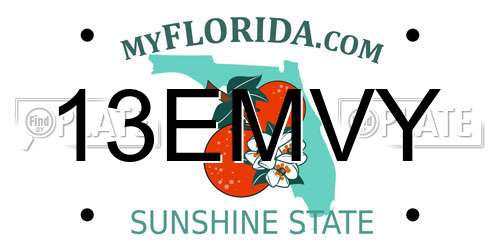 13EMVY Florida License Plate