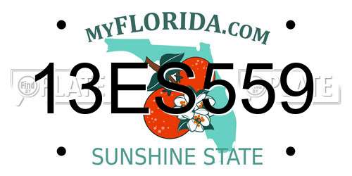 13ES559 Florida License Plate