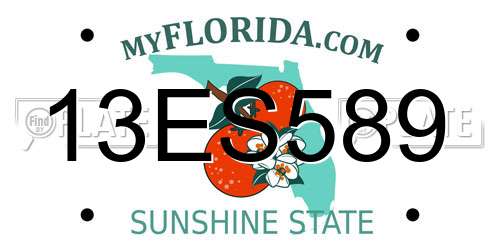 13ES589 Florida License Plate