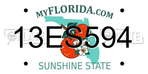 13ES594 Florida License Plate