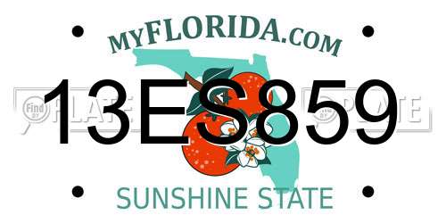 13ES859 Florida License Plate