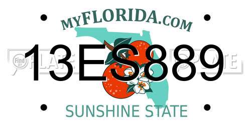 13ES889 Florida License Plate