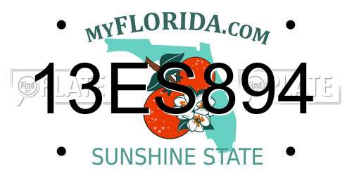 13ES894 Florida License Plate