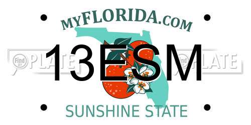 13ESM Florida License Plate