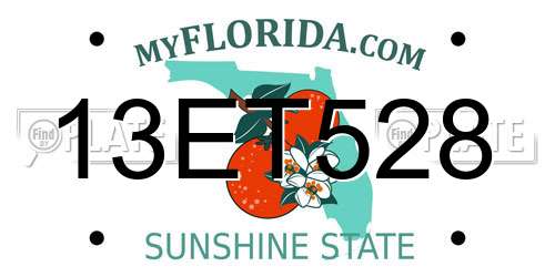 13ET528 Florida License Plate