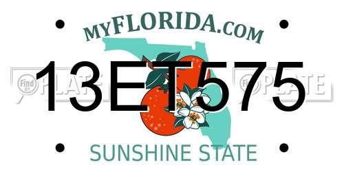 13ET575 Florida License Plate