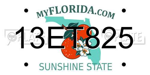 13ET825 Florida License Plate