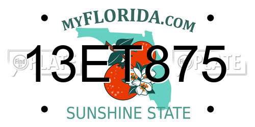 13ET875 Florida License Plate
