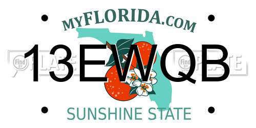 13EWQB Florida License Plate