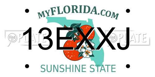 13EXXJ Florida License Plate