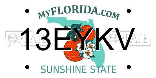 13EYKV Florida License Plate