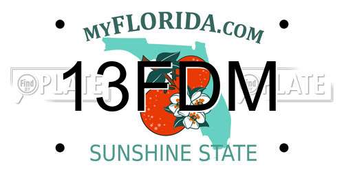 13FDM Florida License Plate