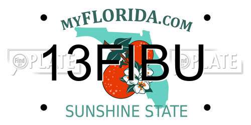 13FIBU Florida License Plate