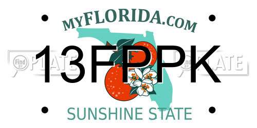 13FPPK Florida License Plate