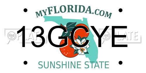 13GCYE Florida License Plate