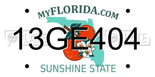 13GE404 Florida License Plate