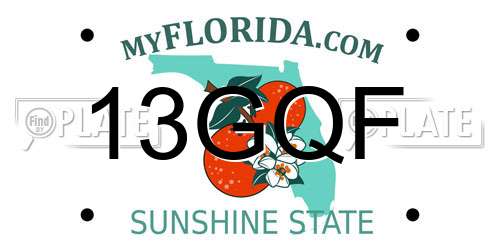 13GQF Florida License Plate