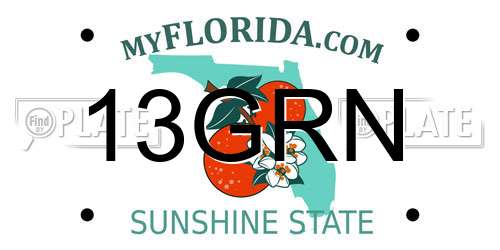 13GRN Florida License Plate