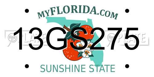 13GS275 Florida License Plate