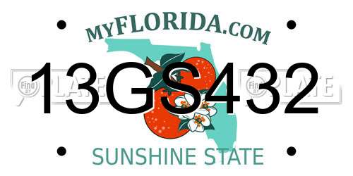 13GS432 Florida License Plate