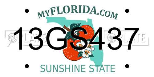 13GS437 Florida License Plate