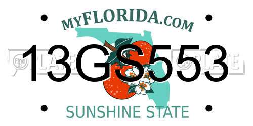 13GS553 Florida License Plate