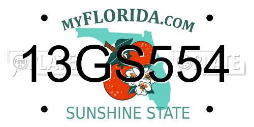 13GS554 Florida License Plate