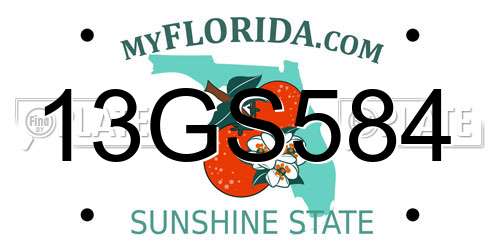 13GS584 Florida License Plate