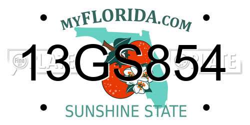 13GS854 Florida License Plate