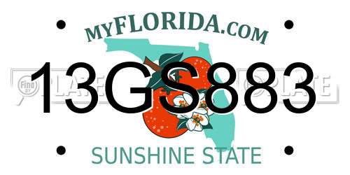 13GS883 Florida License Plate