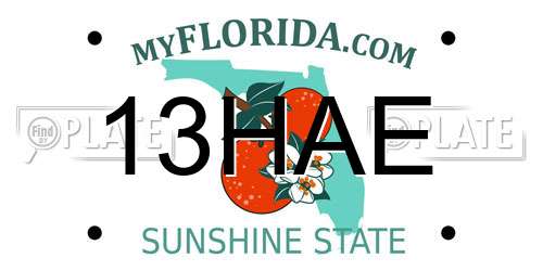 13HAE Florida License Plate