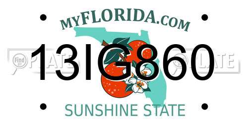 13IG860 Florida License Plate