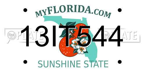 13IT544 Florida License Plate