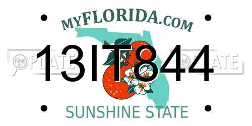 13IT844 Florida License Plate