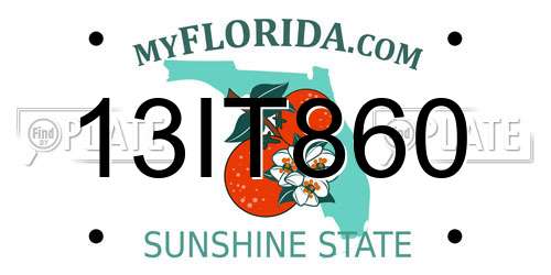 13IT860 Florida License Plate