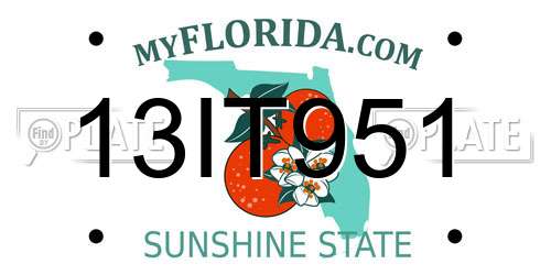 13IT951 Florida License Plate