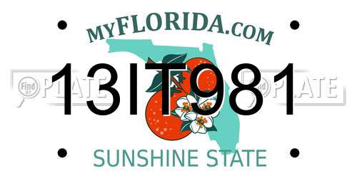 13IT981 Florida License Plate