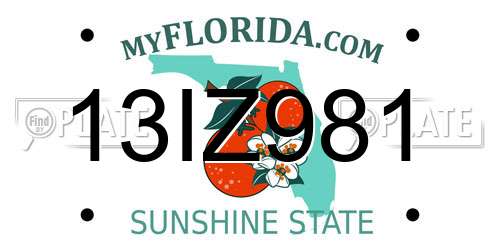 13IZ981 Florida License Plate