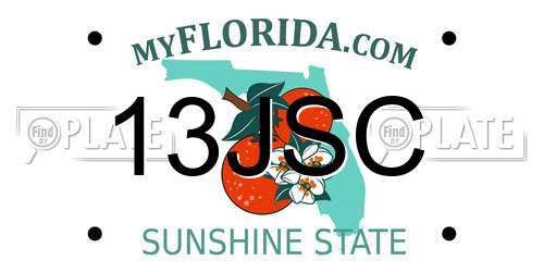 13JSC Florida License Plate