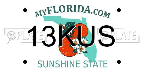 13KUS Florida License Plate