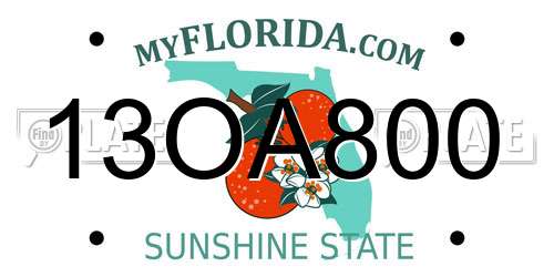 13OA800 Florida License Plate