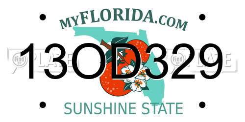 13OD329 Florida License Plate