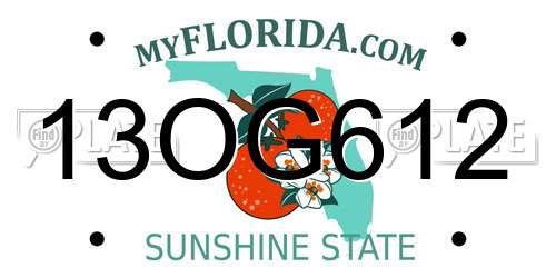 13OG612 Florida License Plate