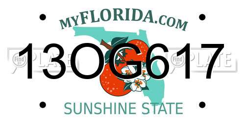 13OG617 Florida License Plate