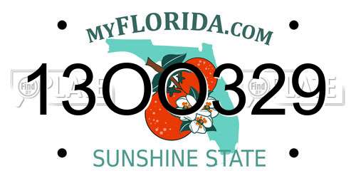 13OO329 Florida License Plate