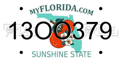 13OO379 Florida License Plate