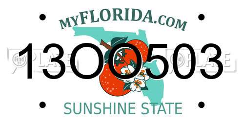 13OO503 Florida License Plate