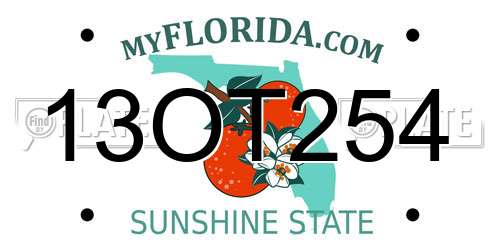 13OT254 Florida License Plate