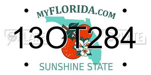 13OT284 Florida License Plate